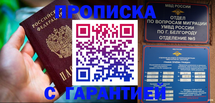 прописка для работы в Курчалом